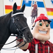 Une mascotte de bûcheron caresse un cheval noir