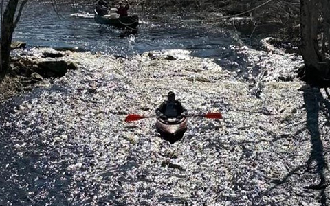 Un kayakiste et deux canoéistes descendent une rivière.