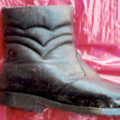 Botte.