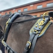 Un gros plan d'un harnais de cheval sur un cheval brun montrant du laiton.