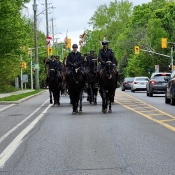 Une cavalcade de chevaux noirs et de cavaliers en uniforme de la GRC trotte dans une rue de la ville.