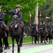Une cavalcade de chevaux noirs et de cavaliers en uniforme de la GRC trotte dans une rue de la ville.