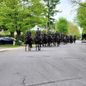Une cavalcade de chevaux noirs et de cavaliers en uniforme de la GRC trotte dans une rue résidentielle.