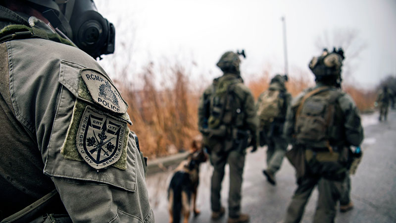 Quatre policiers en tenue tactique et un chien policier marchent en s’éloignant de la caméra.