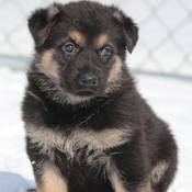 Cette année, les noms doivent commencer par la lettre « A ».