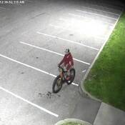Photo du deuxième suspect à vélo portant un chandail à capuchon rouge et une casquette de baseball