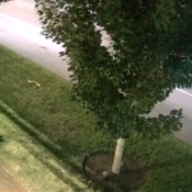 Une voiture blanche roule sur la route. Elle se déplace de gauche à droite sur l'écran.