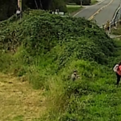 Photo d’un véhicule du Service des douanes et de la protection des frontières des États-Unis stationné sur le chemin Northwoods. Trois personnes traversent illégalement la frontière, poursuivies par un agent du Service des douanes et de la protection des frontières des États-Unis.