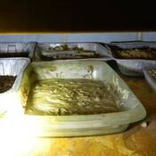 Photo de plateaux de fentanyl présumé.