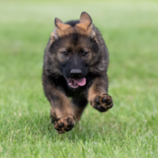 Cette année, les noms doivent commencer par la lettre « B ».