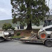 Un petit camion-benne tirant un véhicule utilitaire sur une remorque, stationné sur le bord de la route.