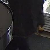 Déposer 2026-337969 – March 15, 2026