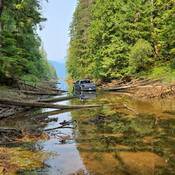 Photo d’une camionnette grise dans un ruisseau entouré d’arbres.