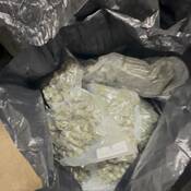 Du cannabis séché à l'intérieur d'un des grands sacs noirs saisis