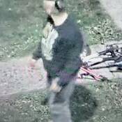 La GRC est à la recherche de ce suspect après que plusieurs véhicules ont été vandalisés à Cedar Bay, à Portage la Prairie, le 8 octobre.