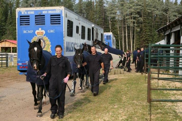 A line of male and female officers wearing coveralls lead their horses toward a tractor trailer. 