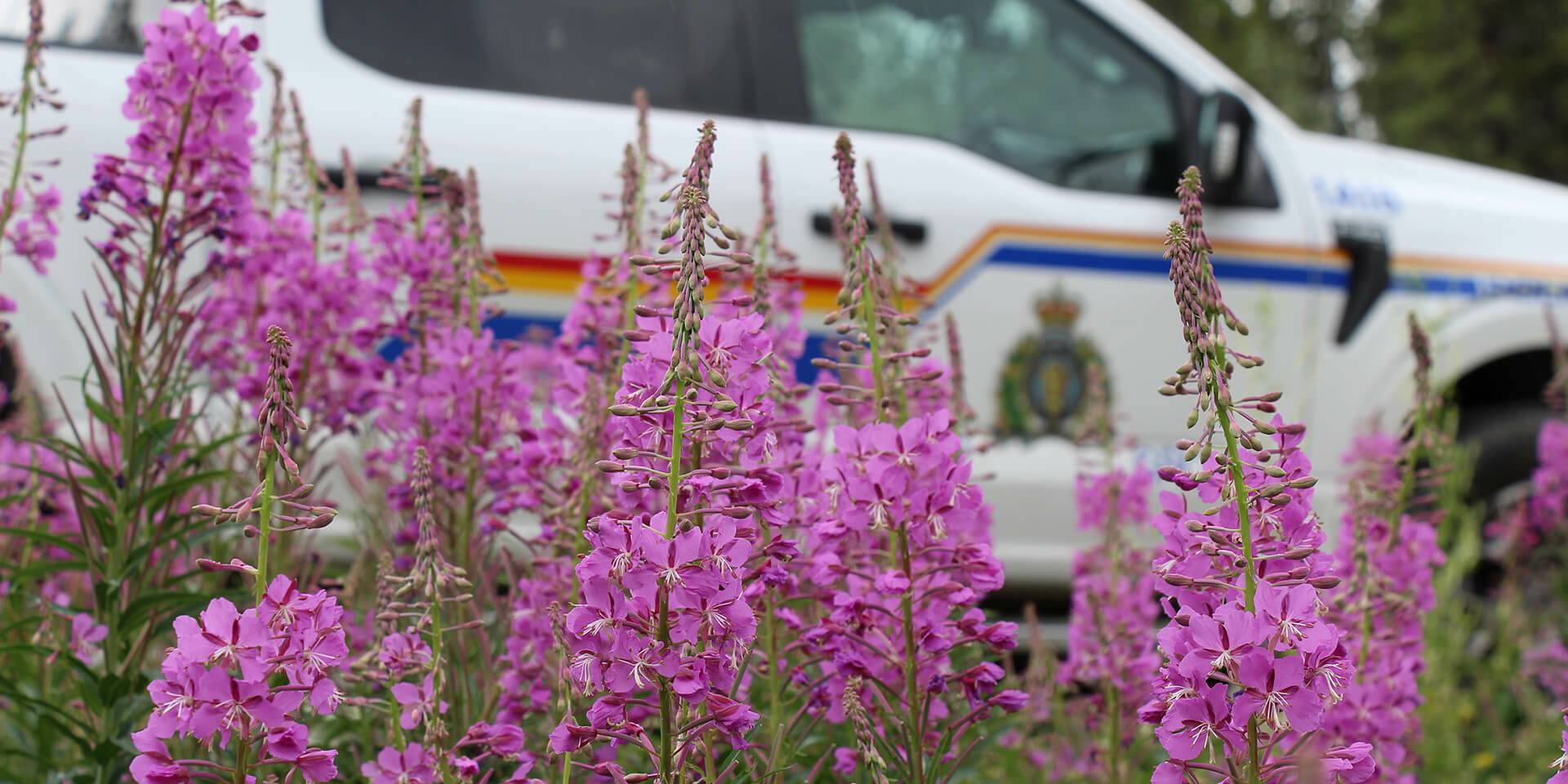 Yukon RCMP | Royal Canadian Mounted Police