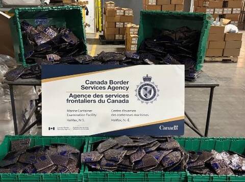 A large quantity of sealed cocaine packages displayed in green totes with a CBSA poster. The drugs were seized by Canada Border Services Agency officers in Halifax, NS in March 2026.