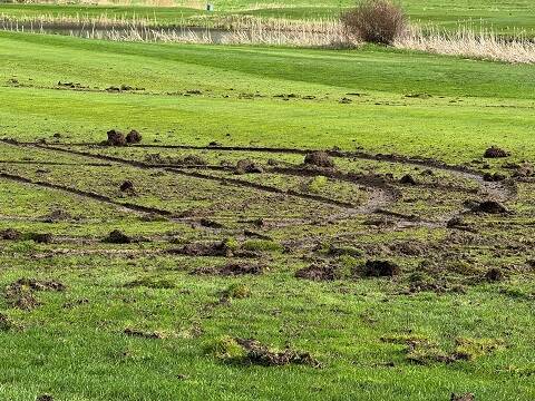 Damage to Golf Course