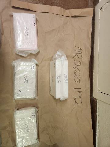 Display of four suspected cocaine bricks
