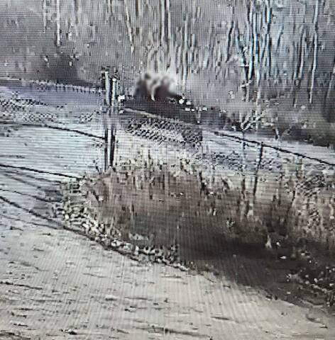 A photo of an ATV with two riders.