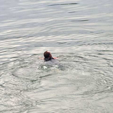 Balding man with beard swimming away from the camera.