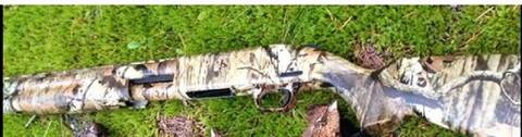 stolen Mossberg shotgun