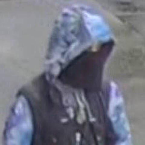 Photo of the suspect