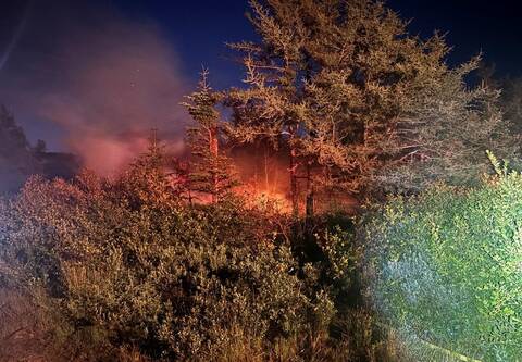 A structure ablaze at night. Flames of the fire are visible amongst dense bushes, brush and trees.